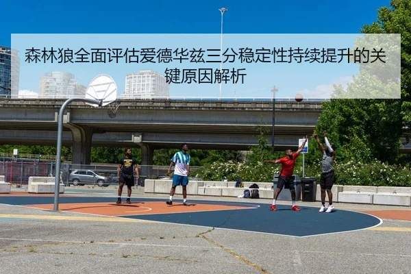 森林狼全面评估爱德华兹三分稳定性持续提升的关键原因解析